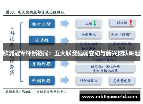 欧洲冠军杯新格局：五大联赛强弱变动与新兴球队崛起