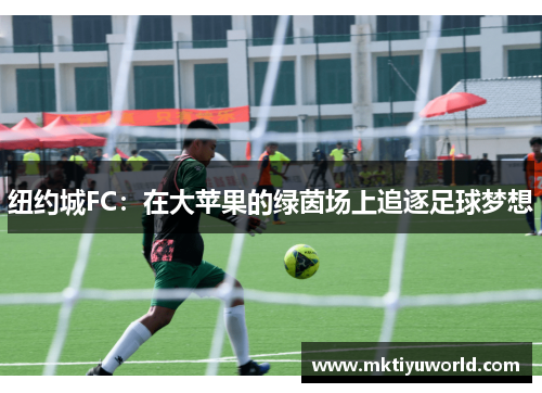 纽约城FC：在大苹果的绿茵场上追逐足球梦想